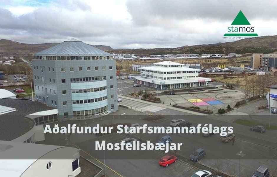 Aðalfundur